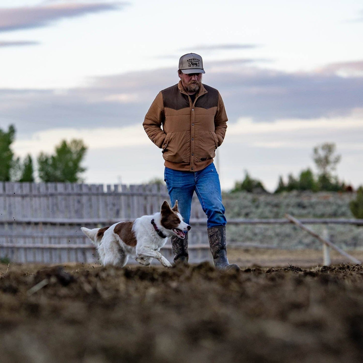 The Cold Snap Puffer