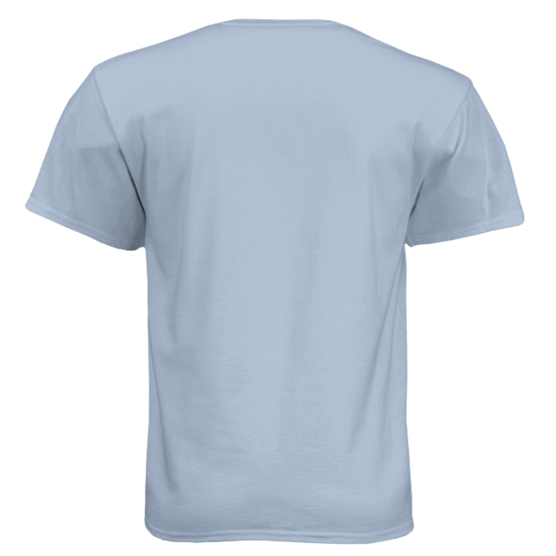 Vintage Stonewash Denim - BACK